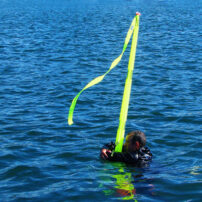 SOS Dan Buoy