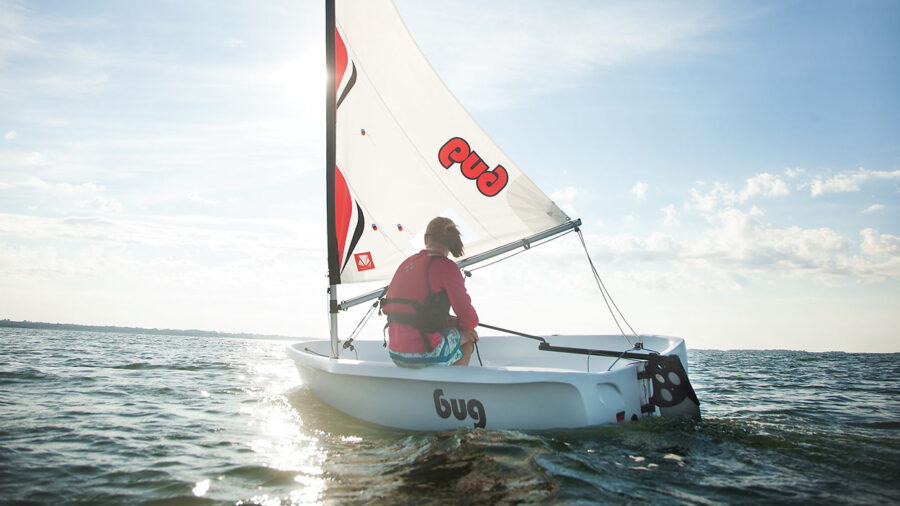 Laser Bug A combination of performance and style